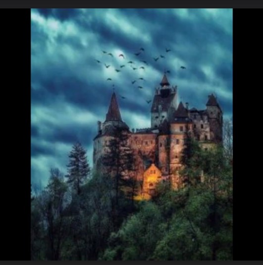 ¿Quién es Angy del&nbsp;Toro?